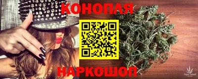 стаф Берёзовский