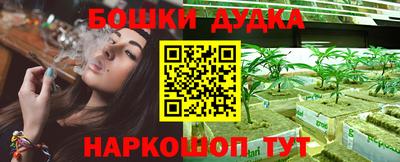 стаф Берёзовский