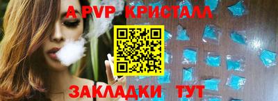 стаф Берёзовский