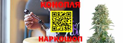 ALPHA-PVP Гатчина
