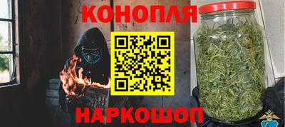 стаф Берёзовский