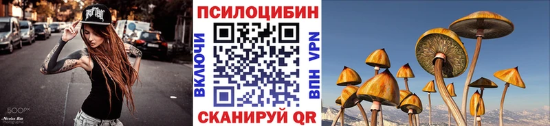 где найти наркотики  Ржев  Псилоцибиновые грибы ЛСД 