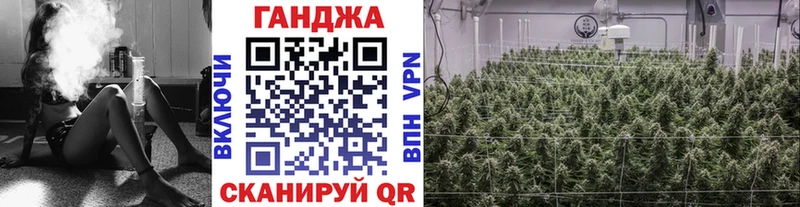 сколько стоит  MEGA ссылки  Бошки Шишки сатива  Ржев 